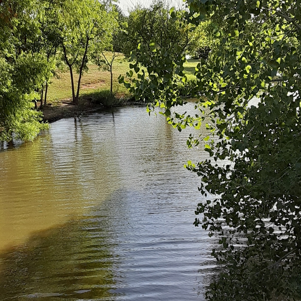 Hello I'm Tammy ⚘ Welcome to my Closet